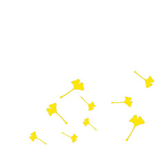 Autumn Leaves Ginkgo Background 