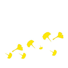 Autumn Leaves Ginkgo Background 