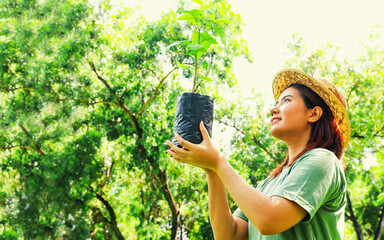 Happy volunteer young asian woman holding small saplings preparing to plant trees in the garden forest to reduce global warming on World Tree Planting Day Volunteer girl doing good service to society.