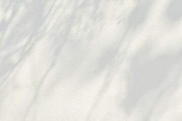 Obraz premium Sunlight shadows, natural branches on concrete cement wall background surface.