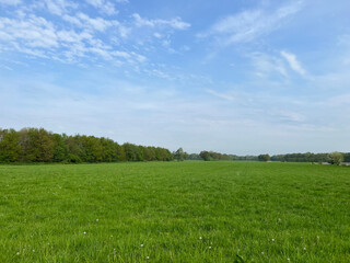 Obraz premium Farm landscape during summer in appelscha