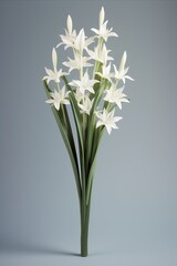 Elegant star flower stem on pastel background, aesthetic floral simplicity composition