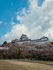 Fototapeta na wymiar blue sky over himeji castle in Tokyo, Japan 
