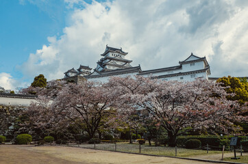 Fototapeta na wymiar Imponent Himeji castle over the colorful trees 