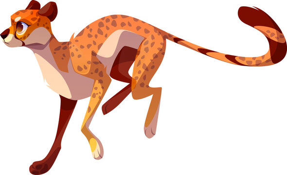 Cheetah Cartoon