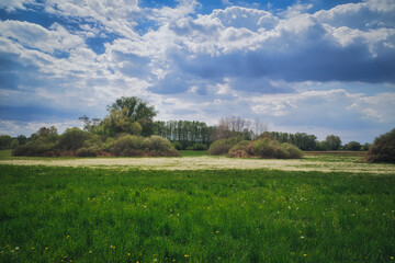 Fototapeta na wymiar Landschaft - Himmel - Frühling - Feld - Ecology - Field - Nature - Concept - Environment - Clouds - Beautiful - Landscape - Background - Green - Bio - Forest