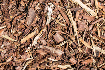 Wooden mulch