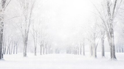 Fototapeta na wymiar winter alley of trees, snowfall in the morning misty park, winter landscape, seasonal abstract blurred background copy space