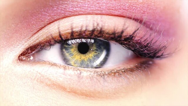 Portrait, macro and eye of person with makeup, human blink for vision or eyeshadow for skincare. Face closeup, eyebrow and beauty of skin cosmetics, eyelashes or green iris color for healthy eyesight