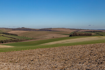 Fototapeta na wymiar Looking out over farmland in the South Downs, on a sunny winter's day