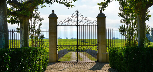 Luxury iron gate to the entrance of a vineyard near St-Emilion, France. High quality photo