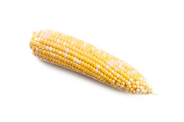 Sweet corn isolated on a white background..