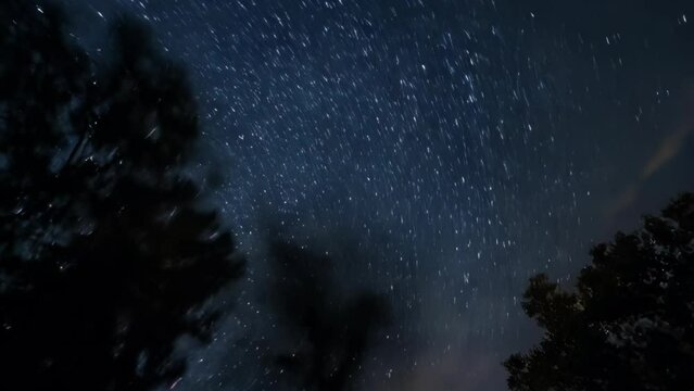 Long exposure video of stars with the silhouette of trees against the night sky
