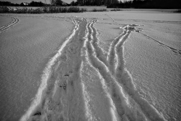 Traces of a humans and animals on the snow. Black and white. Winter landscape with frozen river