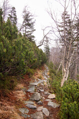 Spacer górskim szlakiem.