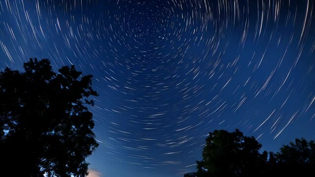 Long exposure video of stars with the silhouette of trees against the night sky
