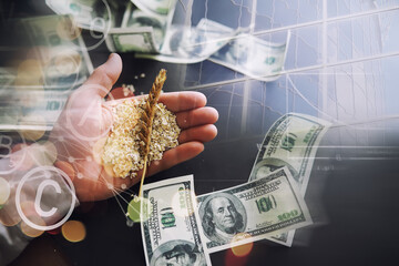 World grain crisis. Double exposure. A handful of cereals and 100 dollar banknotes on a blue...