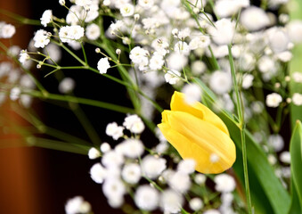 かすみ草とユリ