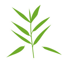 Bamboo Leaf 