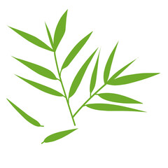 Bamboo Leaf 