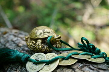 Turtle figurine with Chinese coins. Feng shui and horoscope.