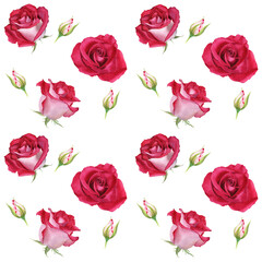Fototapeta premium Watercolor seamless pattern with flower Rose blooms and buds. Botanical illustration. For wrapping fabric textile