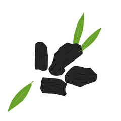 Bamboo Charcoal 