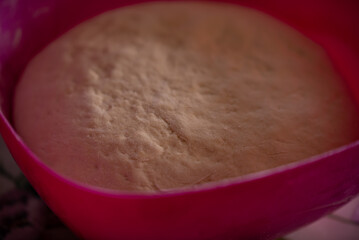 Homemade bread dough. Healthy food prepared from flour