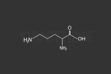 Ornithine molecular skeletal chemical formula	