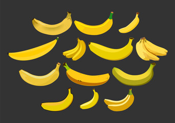 Cluster of Ripe Bananas. A tightly packed group of ripe bananas. An appealing cluster of bananas, showcasing the beauty of a fresh harvest and the abundance of nature. Banana illustration collection.