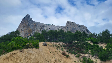 Panoramic forest landscape with mountains on a cloudy day