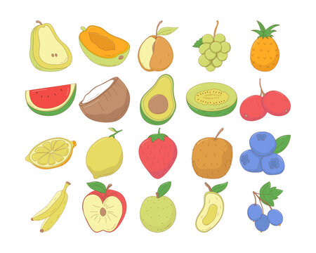 Set of hand drawn fruits vector illustration. Creative hand drawn fruits vector element design