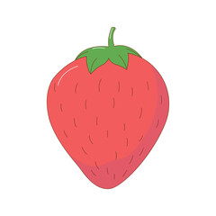 Hand drawn strawberry fruit vector illustration. Creative hand drawn fruit vector element design