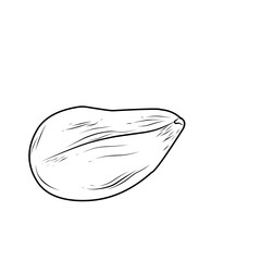 Hand Drawn Peanut Doodle 