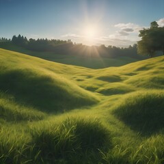 Sun and Grass with Nature, Sunny Day, Greenery Landscape, Nature Scene,