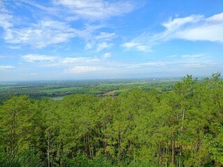 landscape with trees