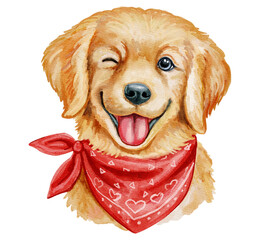Golden retriever in a red bandana winks, winking. Happy funny dog, portrait. watercolor illustration on white background