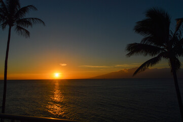 Tropical Sunset with Palm Silhouette Hawaii