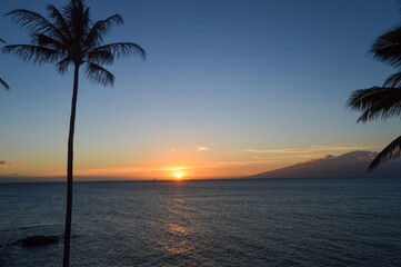 Fototapeta na wymiar Tropical Sunset with Palm Silhouette in Hawaii