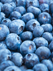 blueberries in a bowl