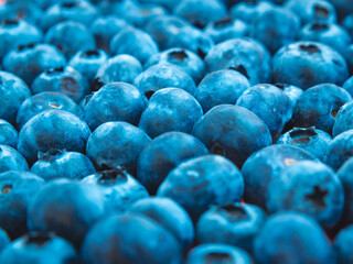 blueberries on the market