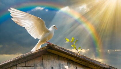 Peaceful Landing: White Dove with Olive Leaf on Noah's Ark Rooftop