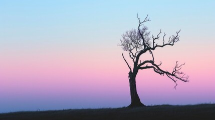 Fototapeta na wymiar A Solitary Tree Silhouetted Against a Tranquil Twilight Sky