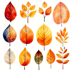 set of leaves watercolor