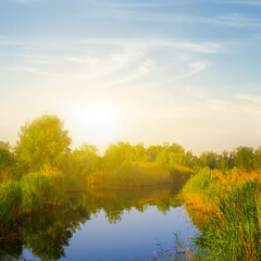 calm summer river with forest on coast at the sunset