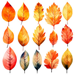 set of leaves watercolor