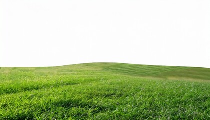 Fototapeta premium green grass field isolated on white background for montage product display with clipping path