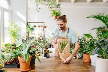 Handsome man wearing apron wrapping a potted plant in paper.