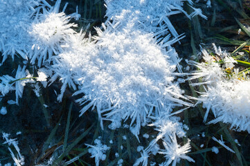 Ice crystals in the morning on the freeze grass close up