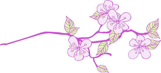 Composition of isolated cartoon, cute flowers, blades of grass, leaves and other graphic elements of bright colors with a lilac outline on a white background. Digital illustration is suitable for scra